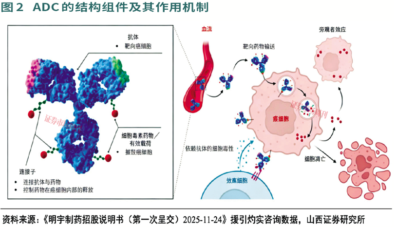 医药投资向制造端扩散，原料药、CDMO等现配置窗口