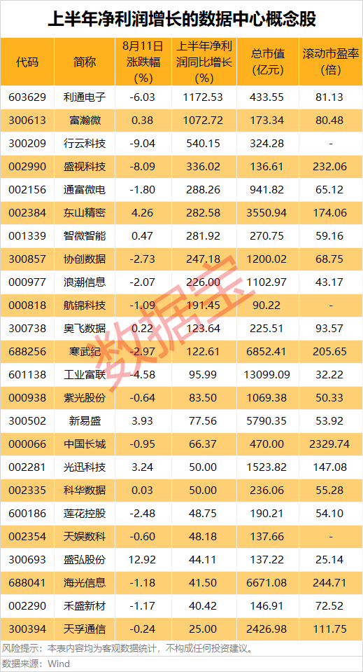 AI算力引爆，24只概念股上半年净利润预增