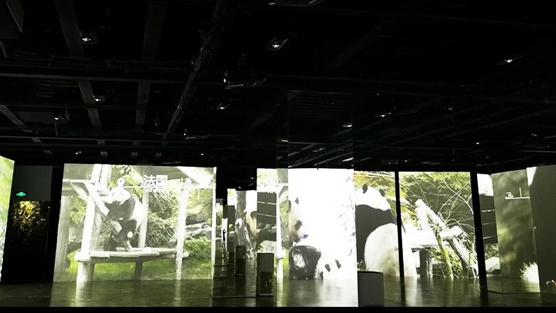 光影造梦,空间新生:光峰工程投影D Pro系列用一束光改写展览叙事