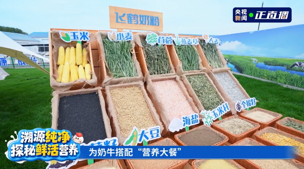 央视溯源直播实地见证，飞鹤筑牢乳业最高等级安全与新鲜