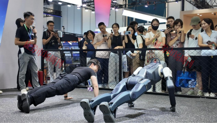 直击2026世界机器人大会：云深处人猫狗多形态机器人集中亮相
