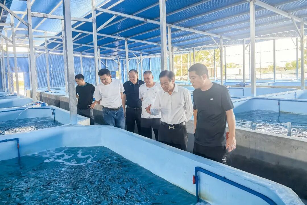 粤海饲料销量高增，夯实基本盘！双线布局东星斑、对虾，拓宽产业成长空间