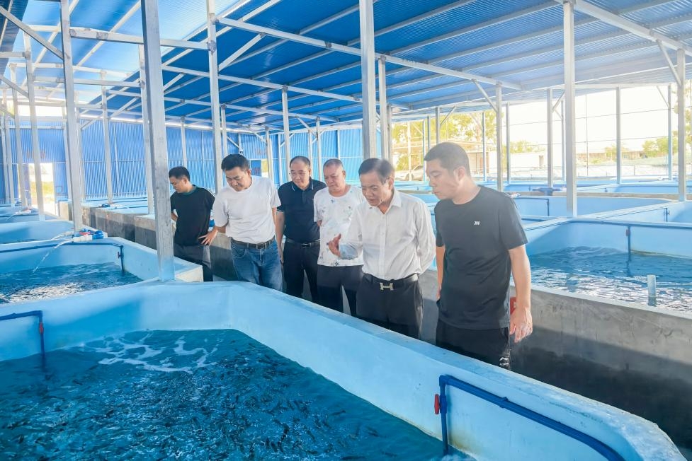 主业销量高增33%跑赢行业 粤海饲料“饲料+养殖+科创”全链进阶