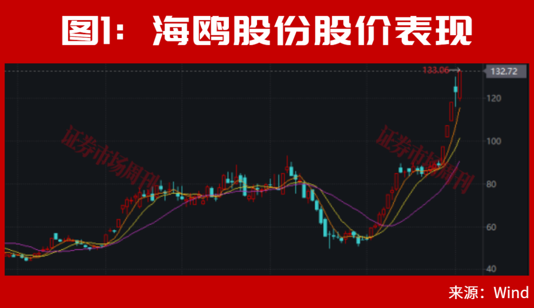 新信号出现了！市场快速拉升，002536！股价大涨80%，发生了什么？