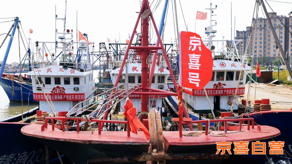 京东京喜自营产地直采 连云港梭子蟹等海鲜同品质价格便宜15%