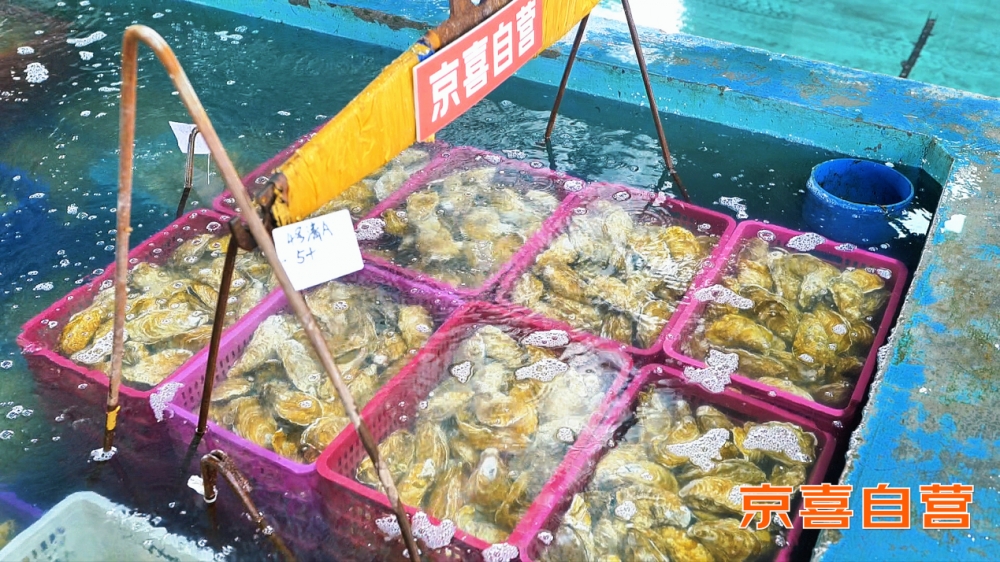 京东京喜自营产地直采 连云港梭子蟹等海鲜同品质价格便宜15%