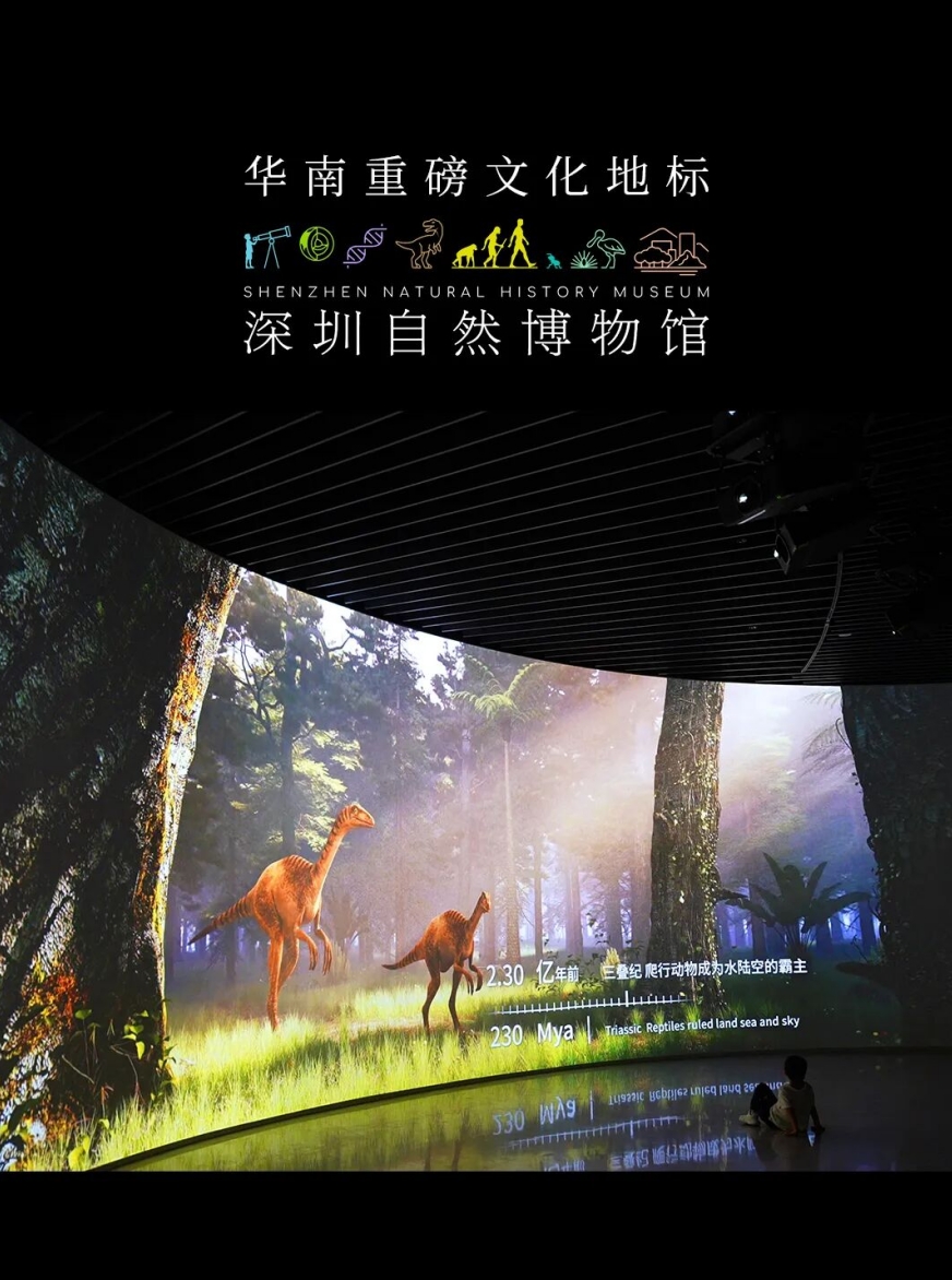 标本+数字光影融合，光峰工程投影点亮深圳自然博物馆