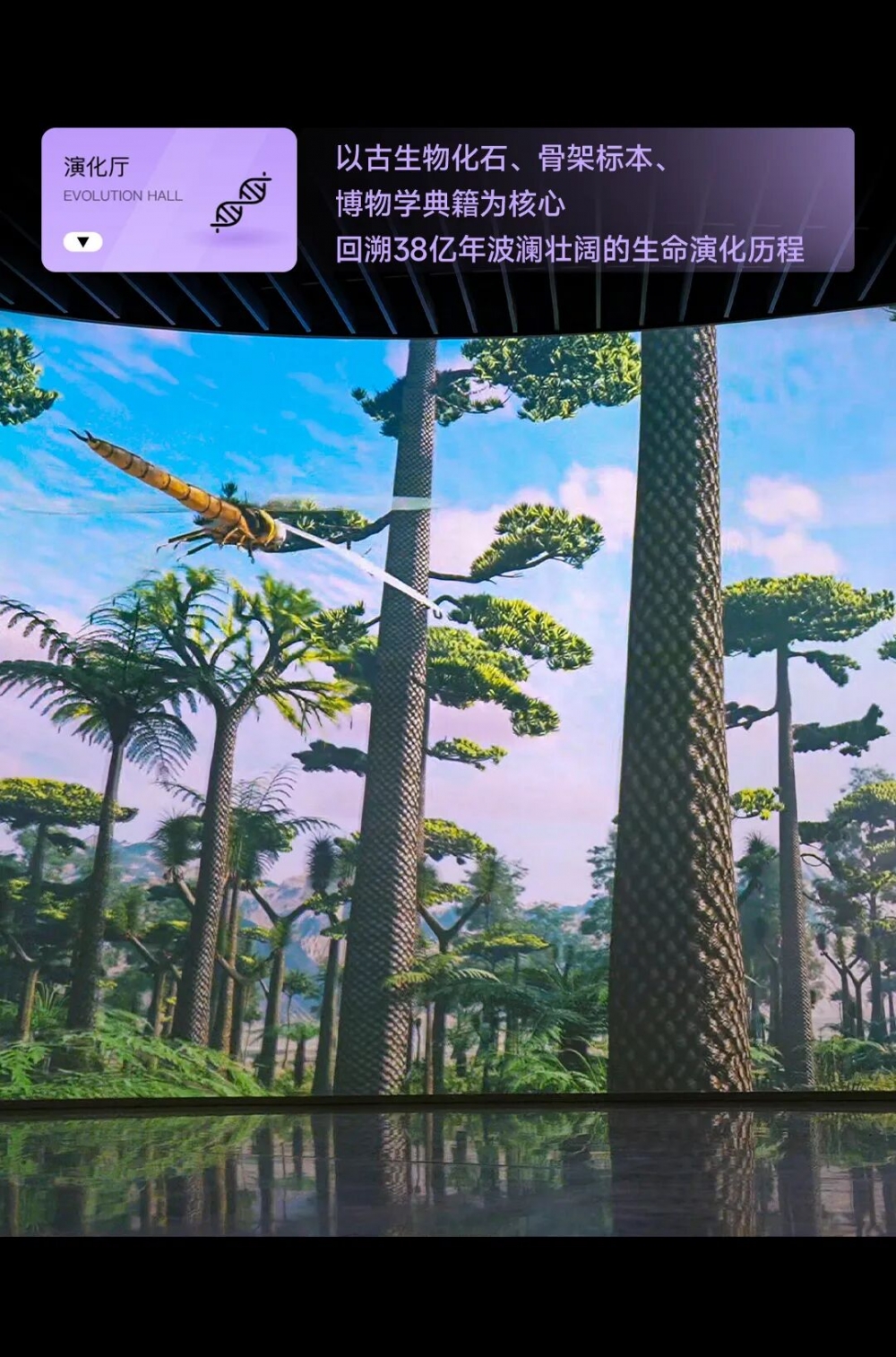 标本+数字光影融合，光峰工程投影点亮深圳自然博物馆
