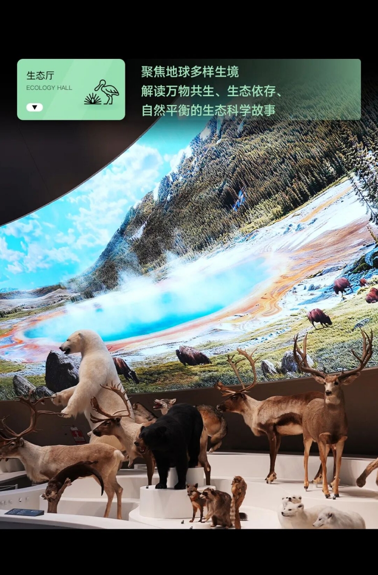 标本+数字光影融合，光峰工程投影点亮深圳自然博物馆