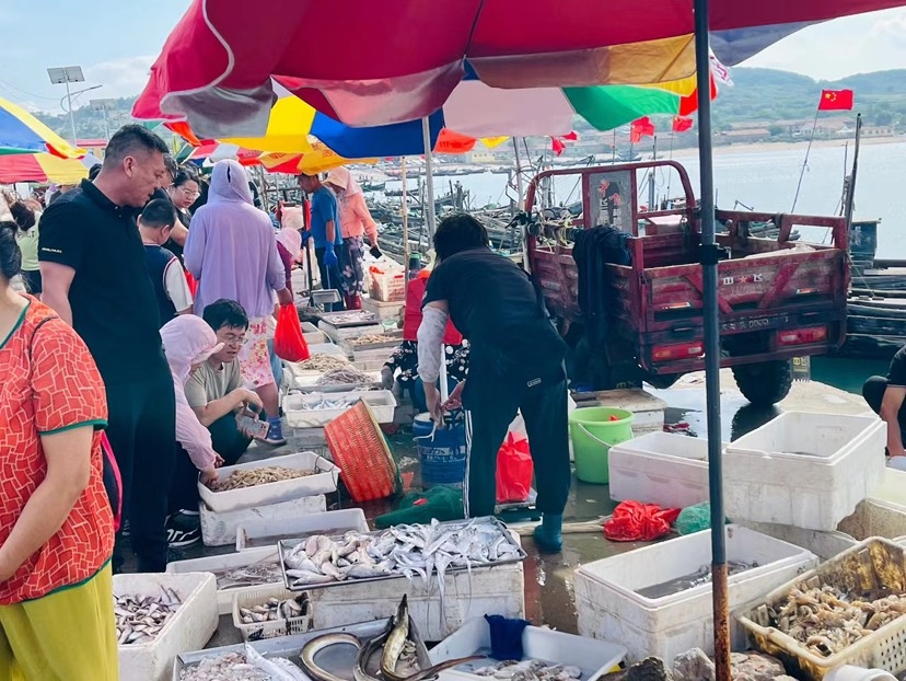 ​护航开海“第一鲜”，国寿筑牢海上人身安全防线
