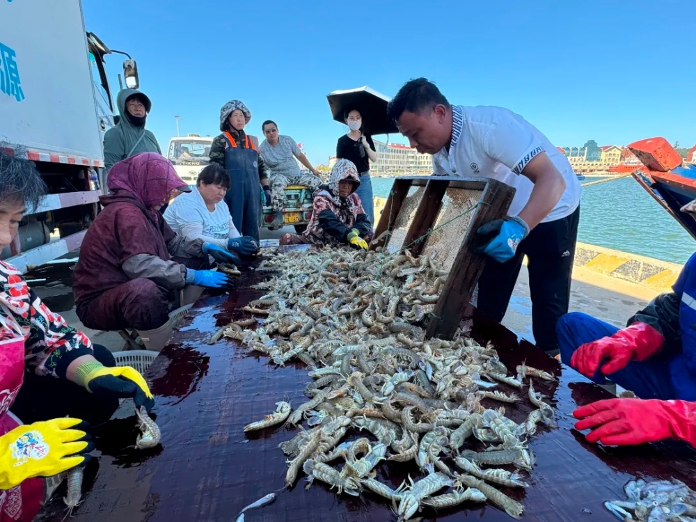 ​护航开海“第一鲜”，国寿筑牢海上人身安全防线