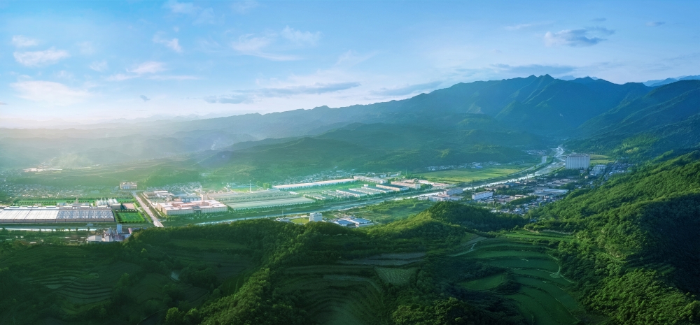 金徽酒2026年三季报:营收韧性守住正增长,省外与线上持续提速,渠道蓄水池再蓄势能