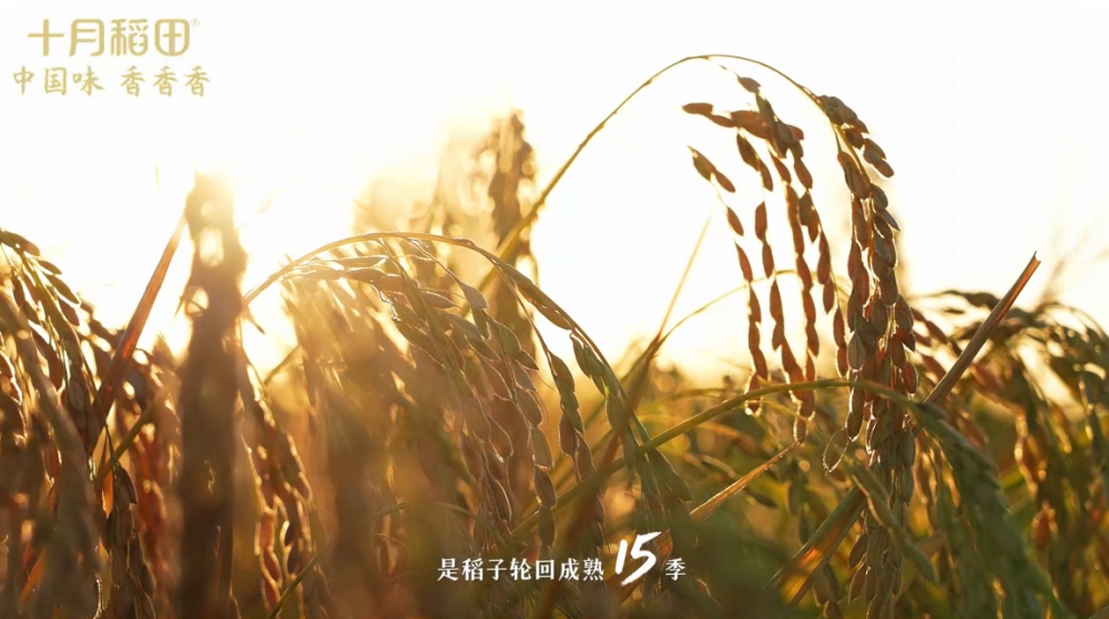 当“好好吃饭”成为时代命题：十月稻田×伊利的国民回答