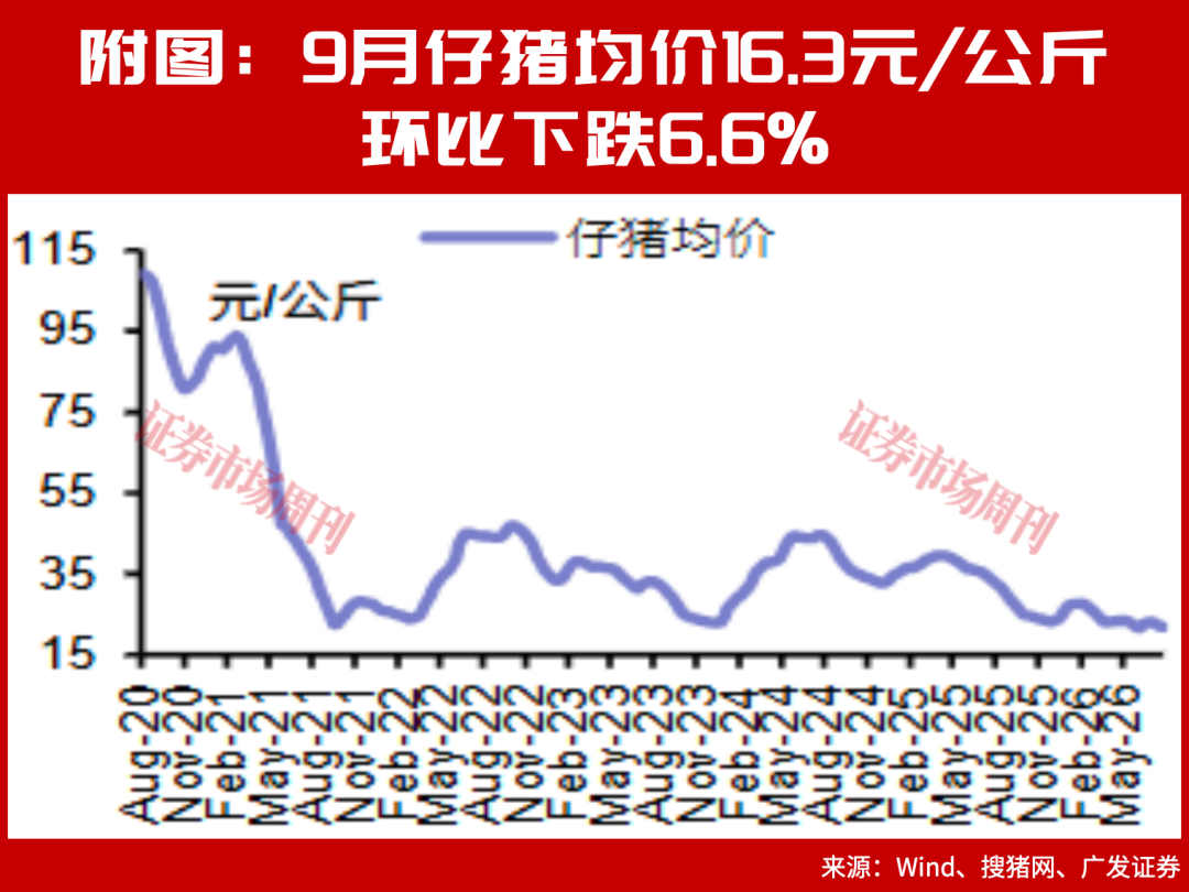 磨底12个月创历史纪录,猪周期反转在即?